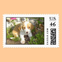 rescued puppy stamps