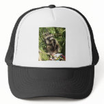 Rescued & Rehabilitated Raccoon Baby Hat