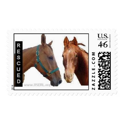 Rescued Wyatt and Buckeye Stamp by JustJen79