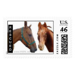 Rescued Wyatt and Buckeye Stamp