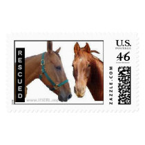 Rescued Wyatt and Buckeye Stamp