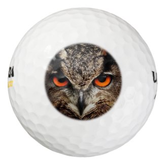 researchers looking owl pack of golf balls