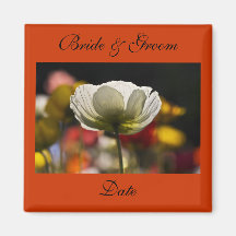 Reserva del boda de la amapola blanca el imán de l