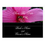 Reserva floral rosada la postal de la fecha