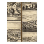 Residences of CP Hatch, Wm Sexton, JM Freeman Post Cards