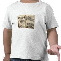 Residences of DG Heald, JM Bowles T Shirts