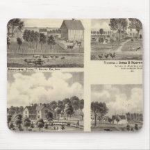 Residences of Swallow Mouse Pads