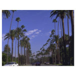 Residential Rodeo Drive, Beverly Hills, California Flyer