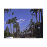 Residential Rodeo Drive, Beverly Hills, California Postcard