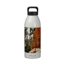 RESILIENT PINE TREE ON RED SANDSTONE ROCK REUSABLE WATER BOTTLE