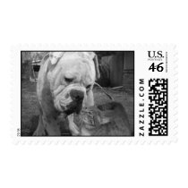 respect postage by CCRescue respect postage