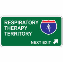 Respiratory Therapy Next Exit photo sculptures by whatitis Respiratory Therapy Next Exit photo sculptures