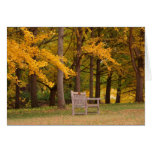 Rest For Awhile Greeting Card
