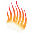 Rest in Flames t-shirts