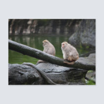 Rest postcards