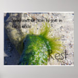 Rest Posters