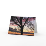 Rest Stop Sunset cards