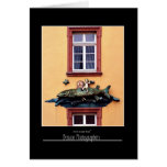 Restaurant Front Heidelberg, Germany