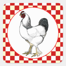 Restaurante ligero del pollo del gallo de Brahma Colcomanias Cuadradas