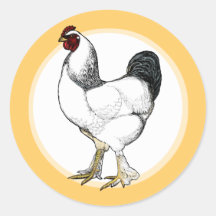 Restaurante ligero del pollo del gallo de Brahma Etiquetas Redondas