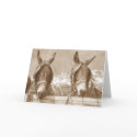 Restin' Easy cards