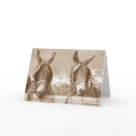 postcard - Original photograph from Mule Day, Columbia, TN postcard - Original photograph from Mule Day, Columbia, TN