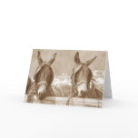 Restin' Easy cards