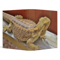 Resting Bearded Dragon 2 Vinyl Binders