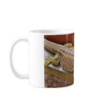 Resting Bearded Dragon 2 Mugs