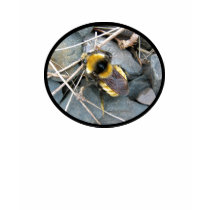 Resting Bee Mens Shirt by CreatureCreations Resting Bee Mens Shirt