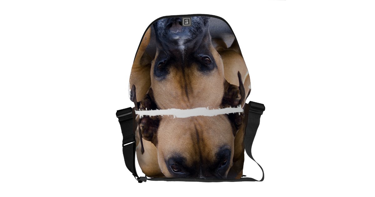 Resting Boxer Dog Messenger Bag Zazzle