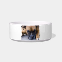 Resting Boxer Dog Pet Bowl Cat Food Bowl