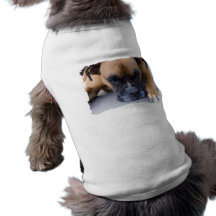 Resting Boxer Dog Pet Shirt