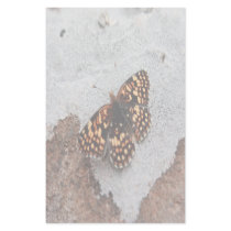 Resting Butterfly on Rock Stationery by SialiciousStationary Resting Butterfly on Rock Stationery