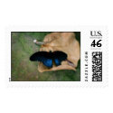 Resting Butterfly postage by kokobaby Resting Butterfly postage
