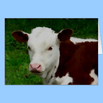 Resting Calf Card