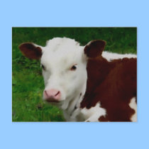 Resting Calf Postcard by deesbasenjis Resting Calf Postcard