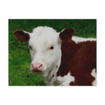 Resting Calf Postcard by deesbasenjis Resting Calf Postcard