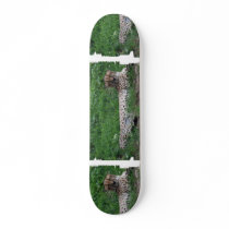 Resting Cheetah Skateboard
