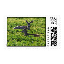 Resting Deer postage by bcampb2 Resting Deer postage