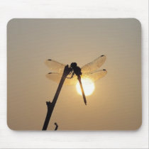 Resting Dragonfly at Sunset mousepads by catwoman62 Resting Dragonfly at Sunset mousepads