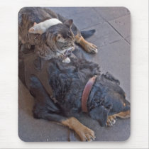 Resting Easy mousepads by JaguarPhotos Resting Easy mousepads