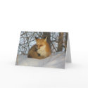 Resting Fox cards by MuseMagic Resting Fox cards