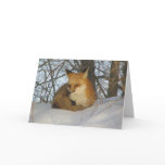 Resting Fox Greeting Cards