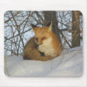 Resting Fox mousepads by MuseMagic Resting Fox mousepads