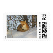 Resting Fox Stamps