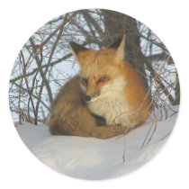 Resting Fox stickers by MuseMagic Resting Fox stickers