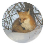 Resting Fox Stickers