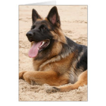 Resting German Shepherd Dog Greeting Card