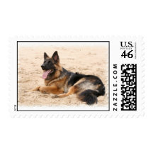 Resting German Shepherd Postage Stamp